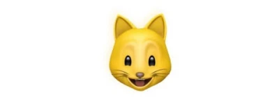 CatCredit